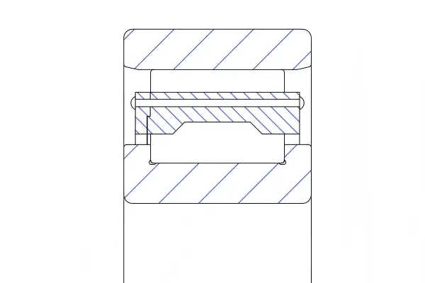 N cylindrical roller bearing structure