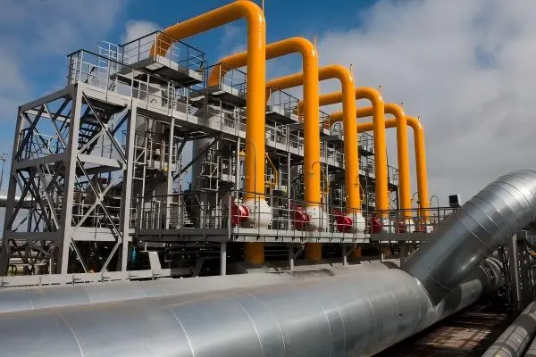 Compressor bearings for oil and natural gas processing equipment