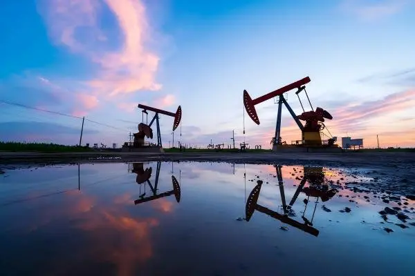 Bearings for drilling rigs used in oil and gas industry equipment